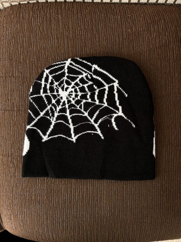 IMG_6578 Beanie spider